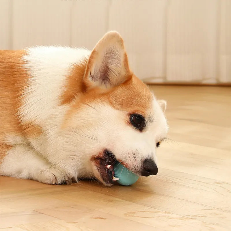 SmartBall 360° 🎾🤖⚡ – Bola Giratória Inteligente Automática