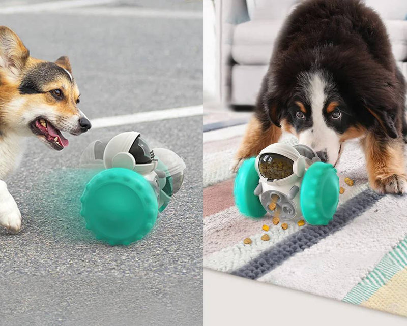 PetFun Tumbler