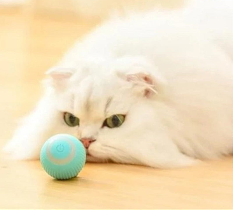 SmartBall 360° 🎾🤖⚡ – Bola Giratória Inteligente Automática