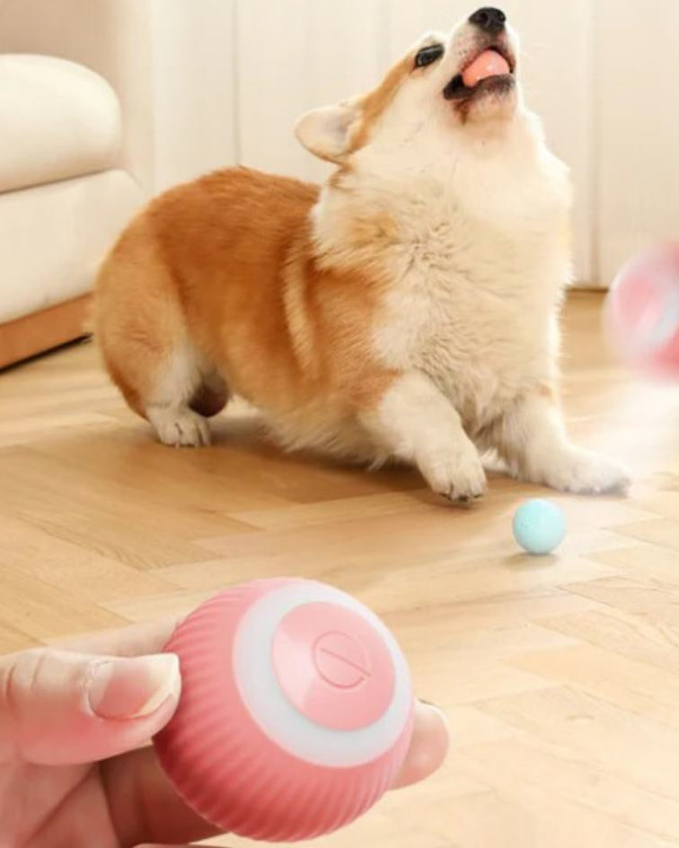 SmartBall 360° 🎾🤖⚡ – Bola Giratória Inteligente Automática