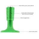 Mordedor Higienizador Dentário