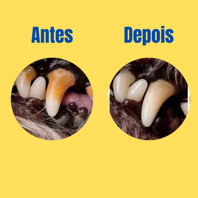 Mordedor Higienizador Dentário
